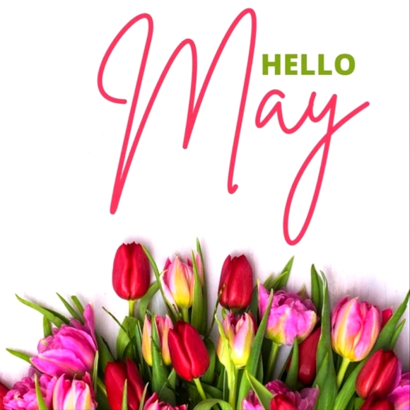 BUNDLE - Picture 10 of 16